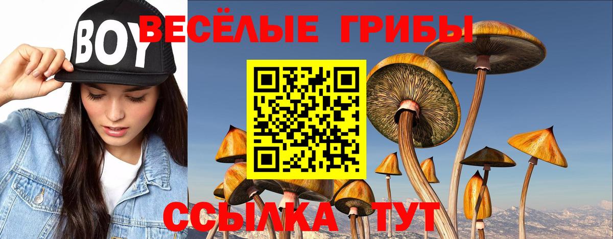 Галлюциногенные грибы мицелий  Вход с VPN  Галлюциногенные грибы GOLDEN TEACHER  что такое   Зеленогорск 